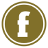 Fiverr icon (70x70)